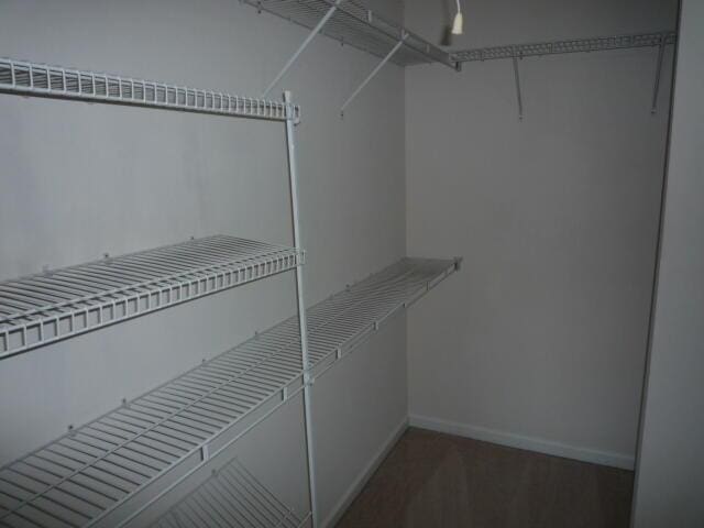 7423 Exuma Dr, Augusta, GA 30909 - view of spacious closet