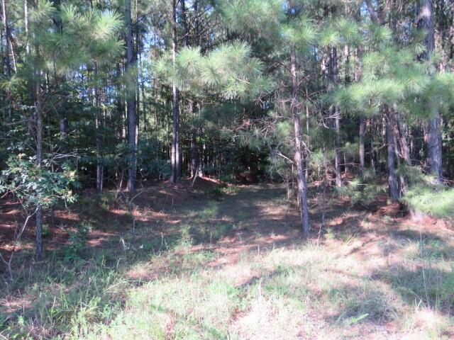 Listing photo 3 for 0 Mariners Way, Lincolnton GA 30817