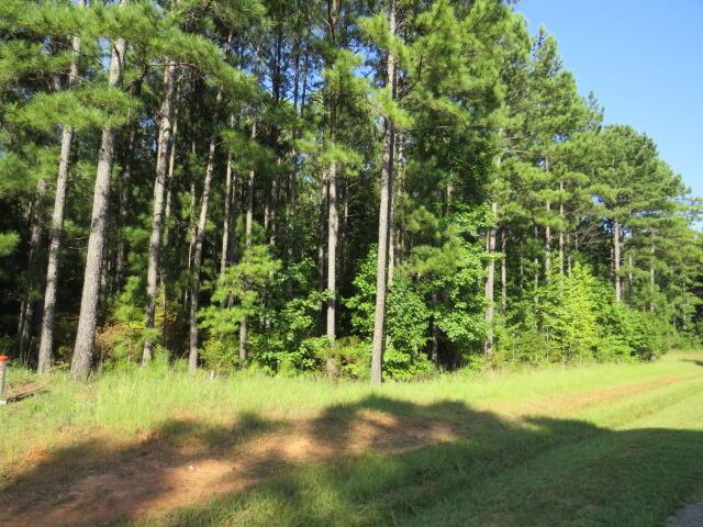 Listing photo 2 for 0 Mariners Way, Lincolnton GA 30817