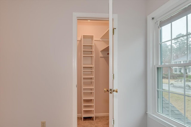 spacious closet featuring light colored carpet