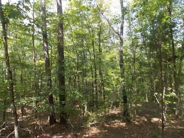 11 Doe Run, Lincolnton GA, 30817 land for sale