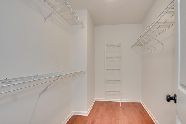 790 Osprey Ln, Martinez, GA 30907 - spacious closet with light wood finished floors