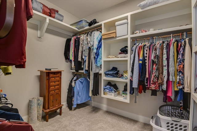 spacious closet with carpet