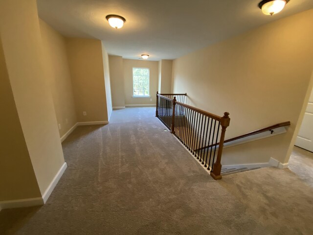 stairway featuring carpet floors