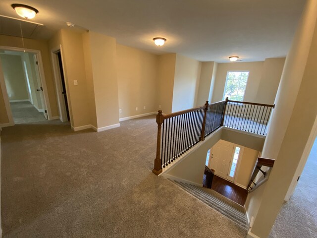 stairway featuring carpet floors