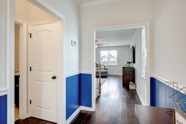 329 Baylor Dr, Graniteville, SC 29829 - hallway with dark wood finished floors and baseboards