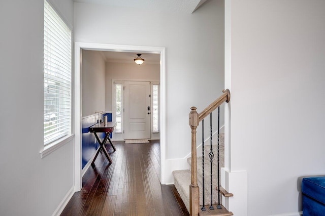 329 Baylor Dr, Graniteville, SC 29829 - entrance foyer with healthy amount of natural light, dark wood-style floors, stairs, and ornamental molding