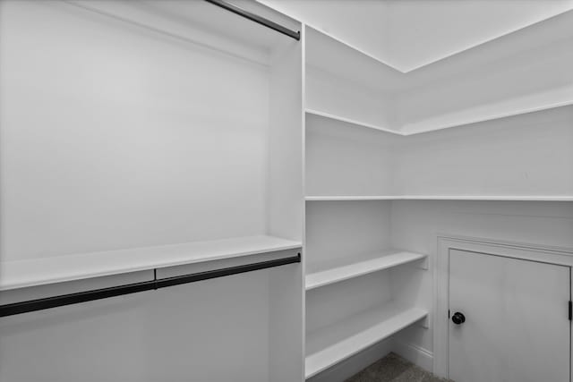 529 River Oaks Ln, Evans, GA 30809 - view of spacious closet