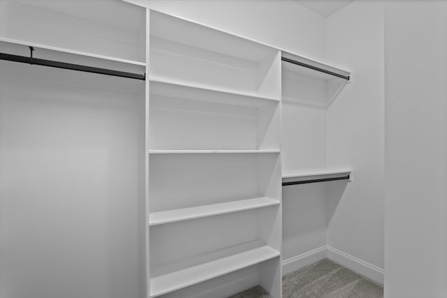529 River Oaks Ln, Evans, GA 30809 - spacious closet with carpet floors