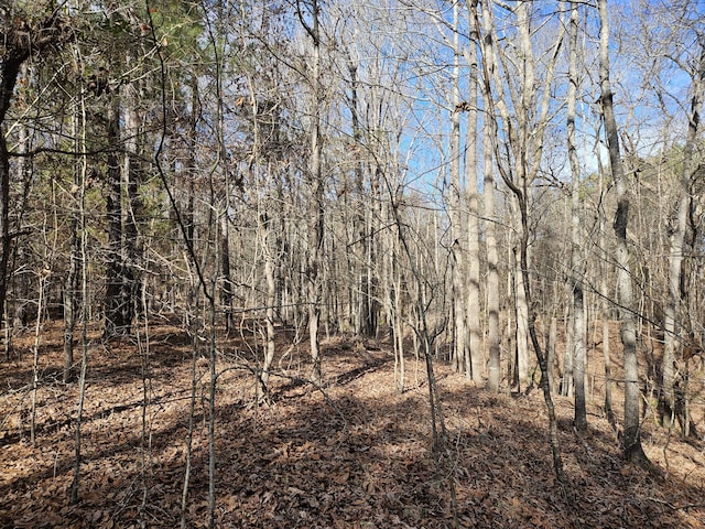 Listing photo 3 for LOT4 Elberton Hwy, Lincolnton GA 30817