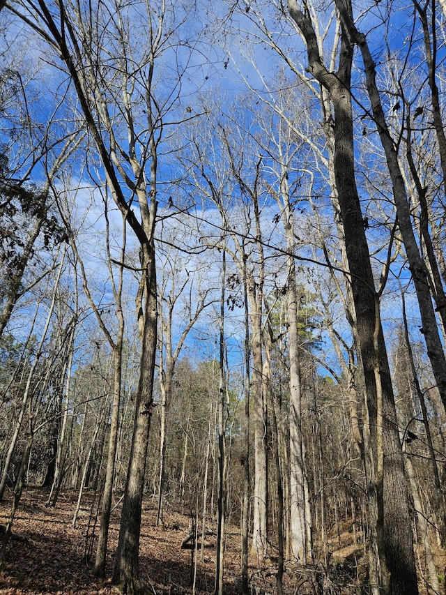 LOT4 Elberton Hwy, Lincolnton GA, 30817 land for sale