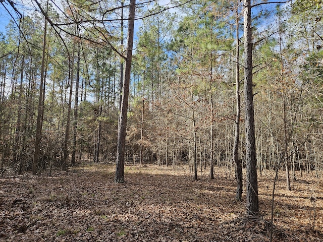 Listing photo 2 for LOT4 Elberton Hwy, Lincolnton GA 30817