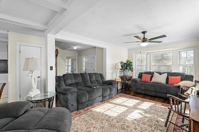 living room featuring beam ceiling, crown molding, ceiling fan, and dark wood-type flooring