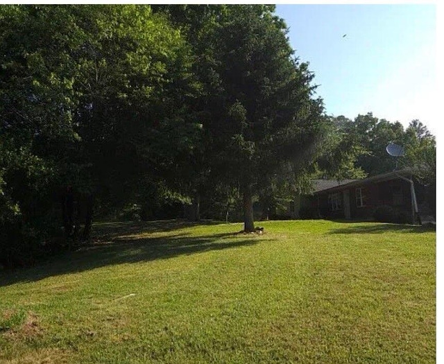 55 Mount Pleasant Dr, Ellijay, GA 30540 - photo 43
