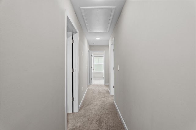 165 Myrtle Grv Trl, Evans, GA 30809 - hallway featuring attic access, carpet, and baseboards