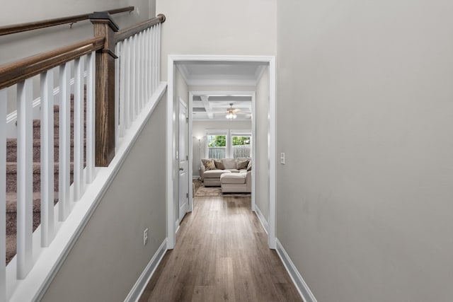 165 Myrtle Grv Trl, Evans, GA 30809 - hallway with coffered ceiling, wood finished floors, crown molding, baseboards, and beamed ceiling