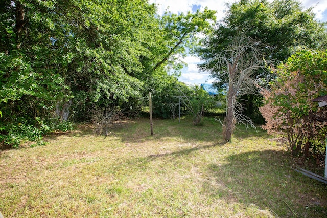 1468 Dewitt St, Augusta, GA 30901 - view of grassy yard