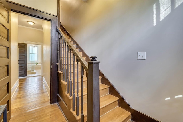 staircase with crown molding and hardwood / wood-style floors