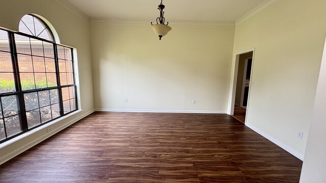 4325 Creekview Dr, Hephzibah, GA 30815 - spare room featuring healthy amount of natural light, crown molding, dark wood-type flooring, and baseboards
