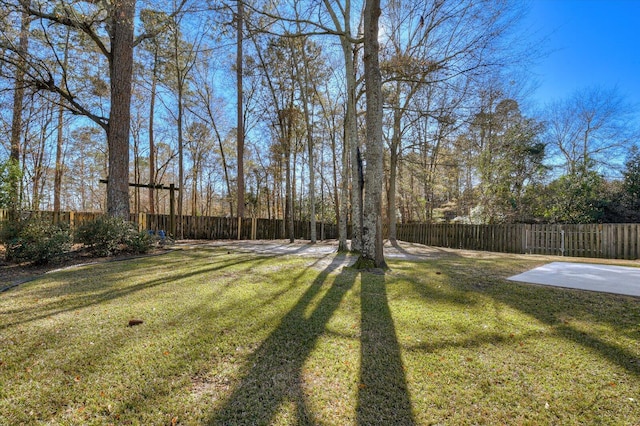 view of yard featuring a patio