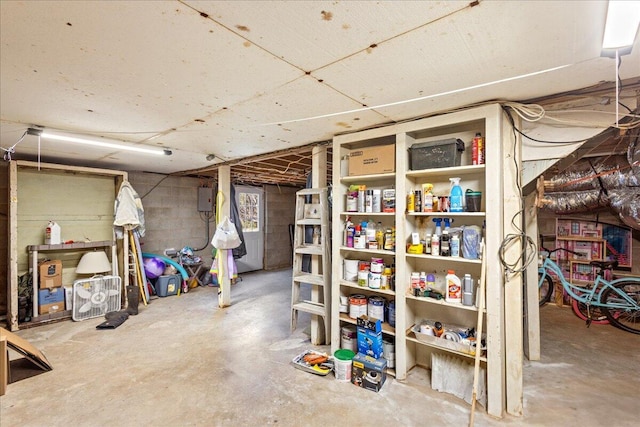 unfinished basement with electric panel