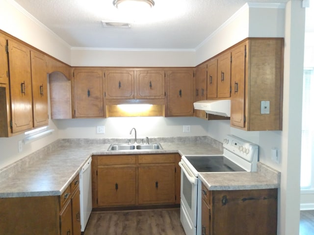 kitchen featuring dark hardwood / wood-style flooring, sink, white appliances, and ornamental molding