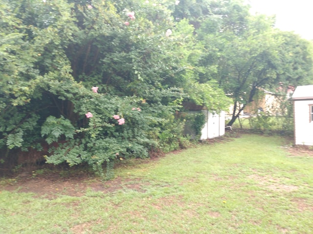 view of yard with a storage shed