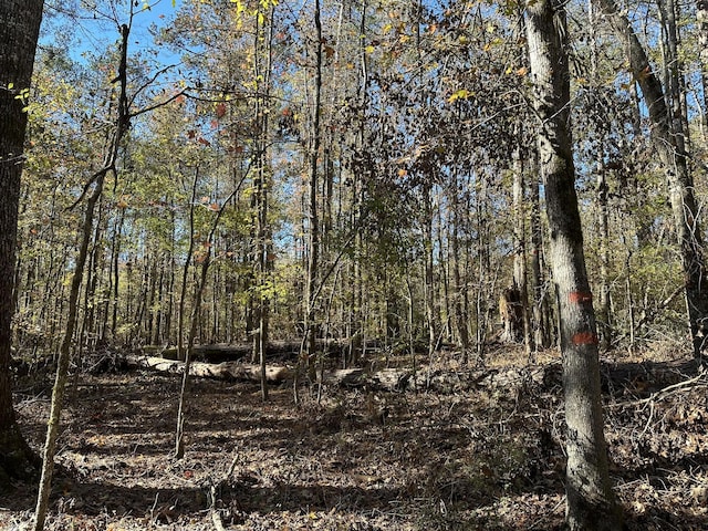 1223 Edge Ln, Tignall, GA 30668 - photo 3
