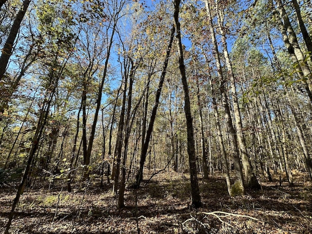 1223 Edge Ln, Tignall, GA 30668 - photo 2
