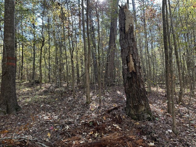 1223 Edge Ln, Tignall, GA 30668 - photo 4