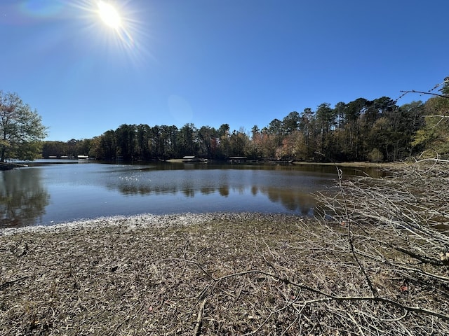 1223 Edge Ln, Tignall, GA 30668 - photo 5