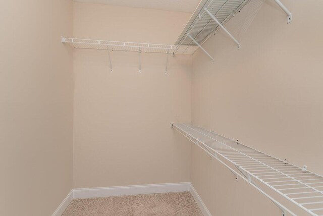 7511 Lucas Ave, Evans, GA 30809 - photo 24