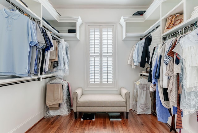 spacious closet with wood-type flooring