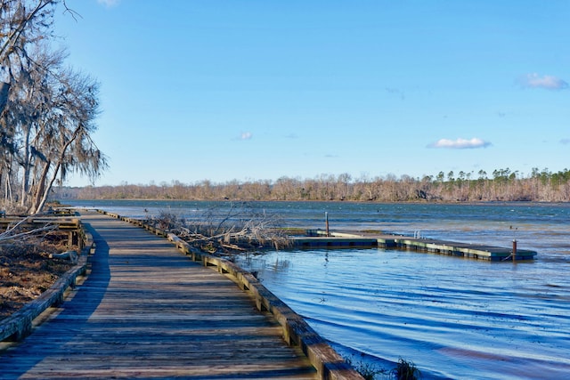 dock area with a water view