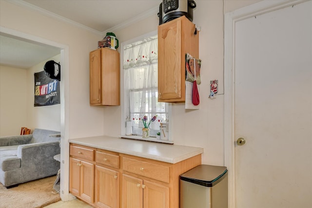 1219 Susan Ct, Waynesboro, GA 30830 - kitchen with light brown cabinetry, ornamental molding, open floor plan, and light countertops