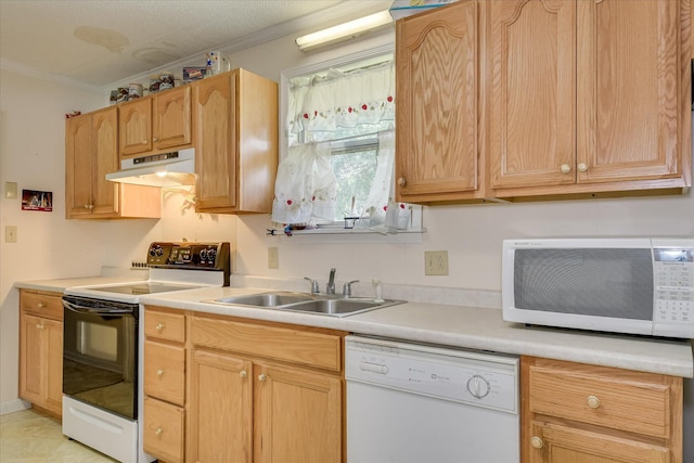 1219 Susan Ct, Waynesboro, GA 30830 - kitchen featuring a sink, under cabinet range hood, white appliances, crown molding, and light countertops