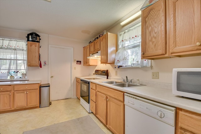 1219 Susan Ct, Waynesboro, GA 30830 - kitchen featuring white appliances, under cabinet range hood, light countertops, and a sink