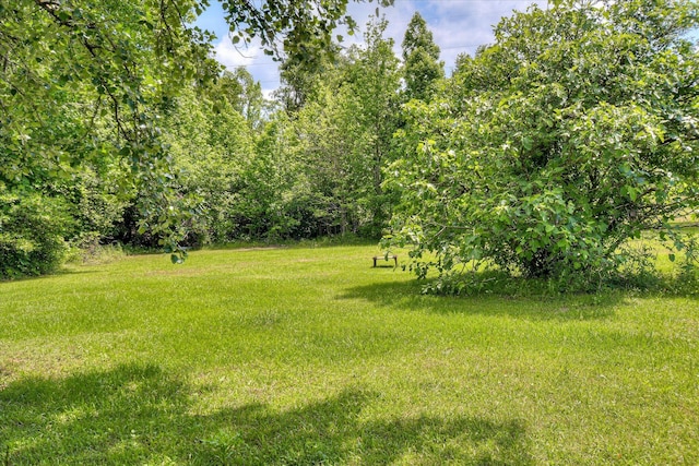 1219 Susan Ct, Waynesboro, GA 30830 - view of yard