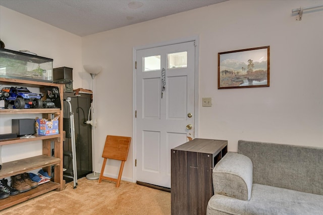 1219 Susan Ct, Waynesboro, GA 30830 - foyer entrance with light carpet