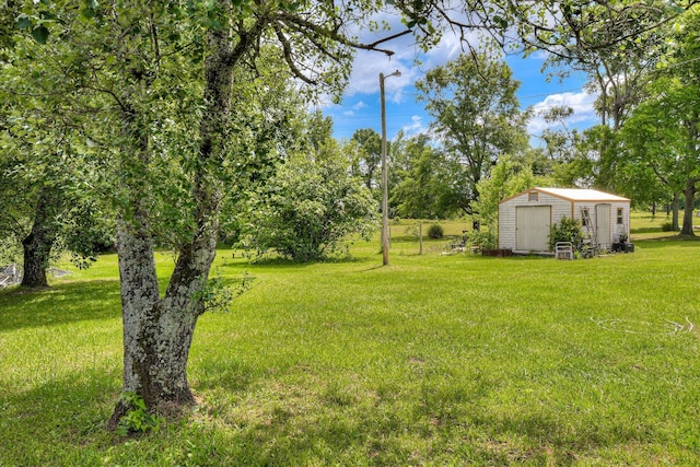 1219 Susan Ct, Waynesboro, GA 30830 - view of yard featuring an outdoor structure and a storage unit