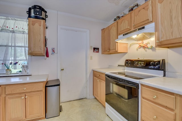 1219 Susan Ct, Waynesboro, GA 30830 - kitchen with range with electric cooktop, light brown cabinets, and under cabinet range hood