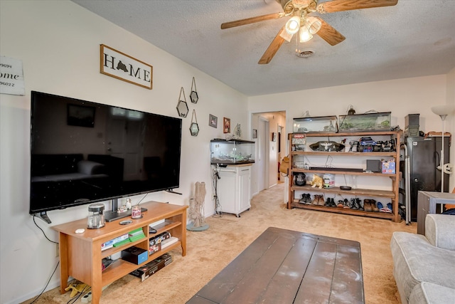 1219 Susan Ct, Waynesboro, GA 30830 - carpeted living area with a ceiling fan and a textured ceiling