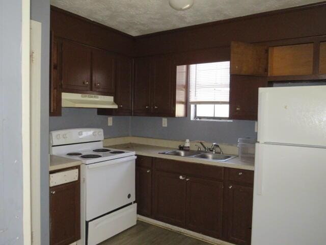 kitchen with white appliances, under cabinet range hood, light countertops, and a sink