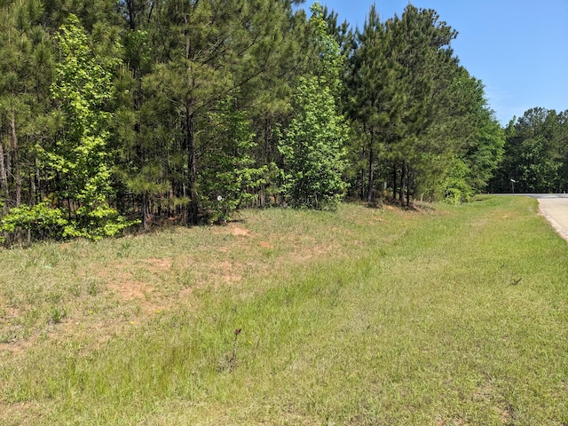 LOT51 Willow Way, Lincolnton GA, 30817 land for sale