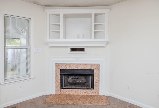 107 Barts Dr, Augusta, GA 30909 - detailed view of carpet, a premium fireplace, and baseboards