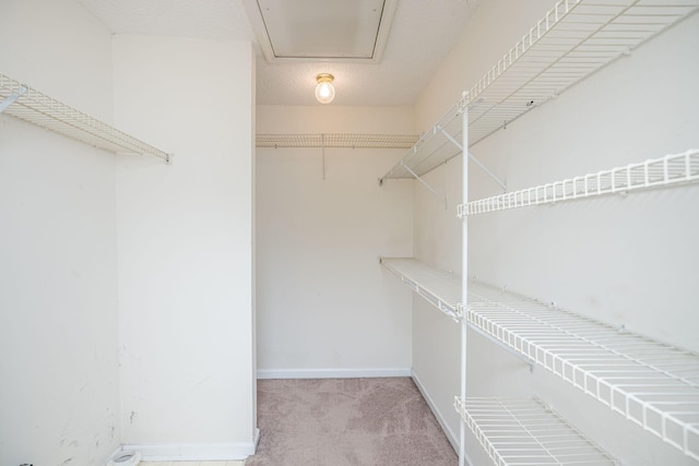 107 Barts Dr, Augusta, GA 30909 - spacious closet with carpet flooring