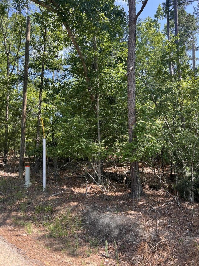 LOT112 Pawnee Dr, Lincolnton, GA 30817 - photo 1