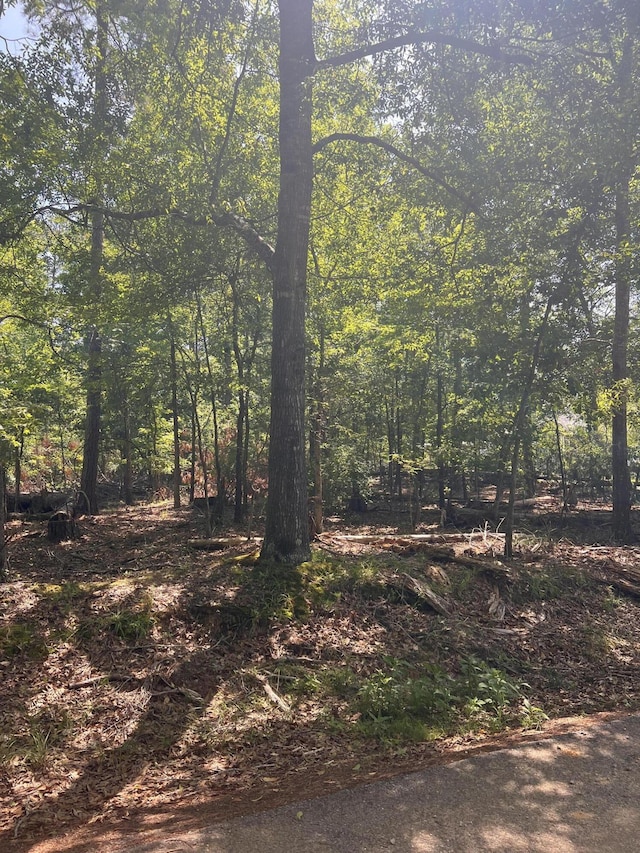 LOT112 Pawnee Dr, Lincolnton, GA 30817 - photo 3