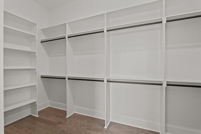 spacious closet featuring wood finished floors