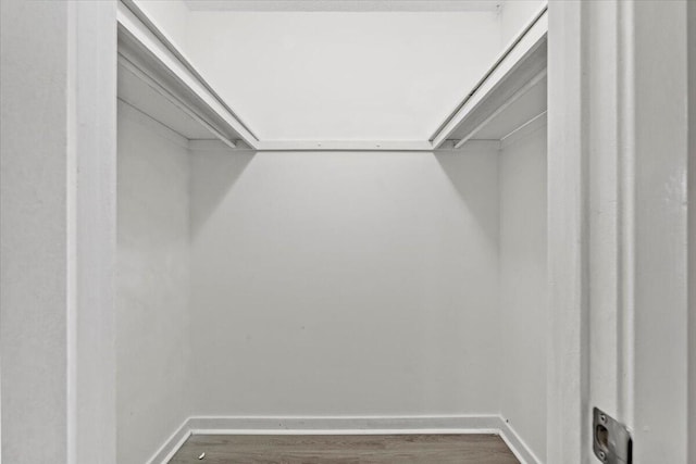 spacious closet featuring dark wood-type flooring